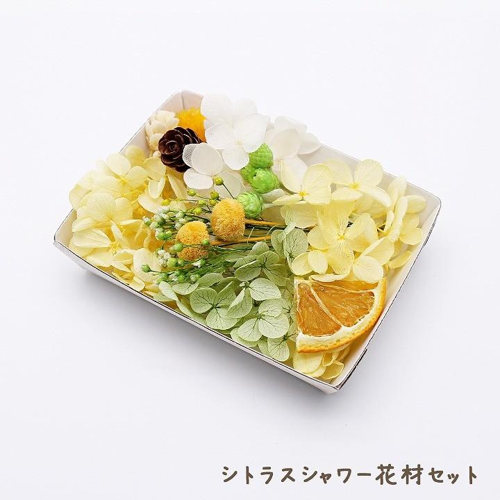 シトラスシャワー花材セット 1ケース ハーバリウムやアロマワックス