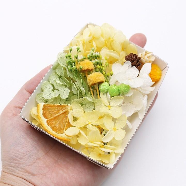 シトラスシャワー花材セット 1ケース ハーバリウムやアロマワックス