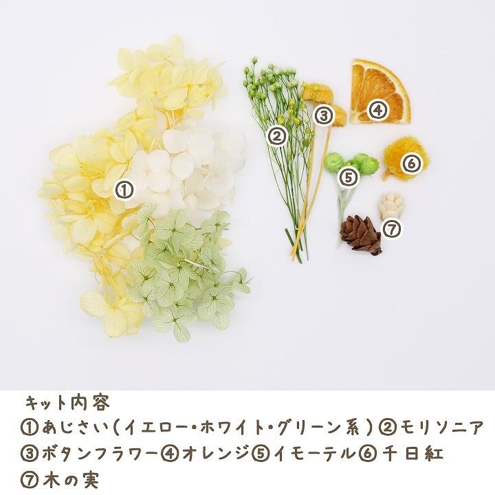 シトラスシャワー花材セット 1ケース ハーバリウムやアロマワックス