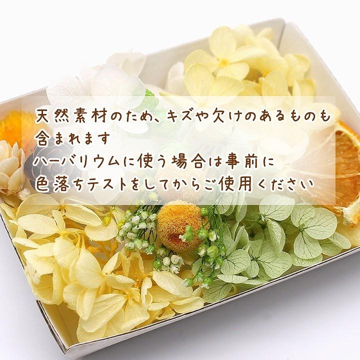 シトラスシャワー花材セット 1ケース ハーバリウムやアロマワックス