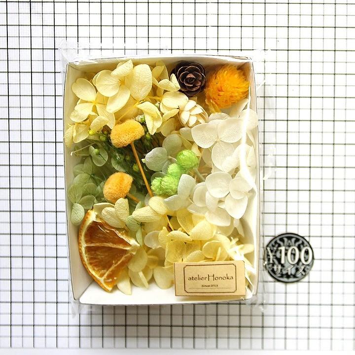 シトラスシャワー花材セット 1ケース ハーバリウムやアロマワックス