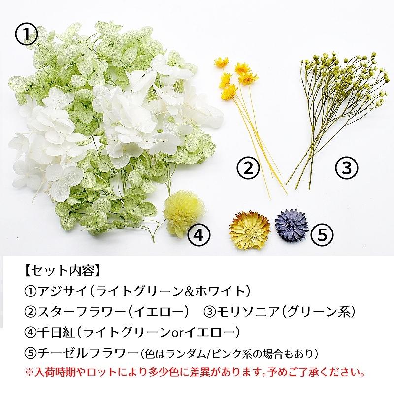 アップルグリーン花材セット 手芸クラフト ハーバリウム花材 アロマ