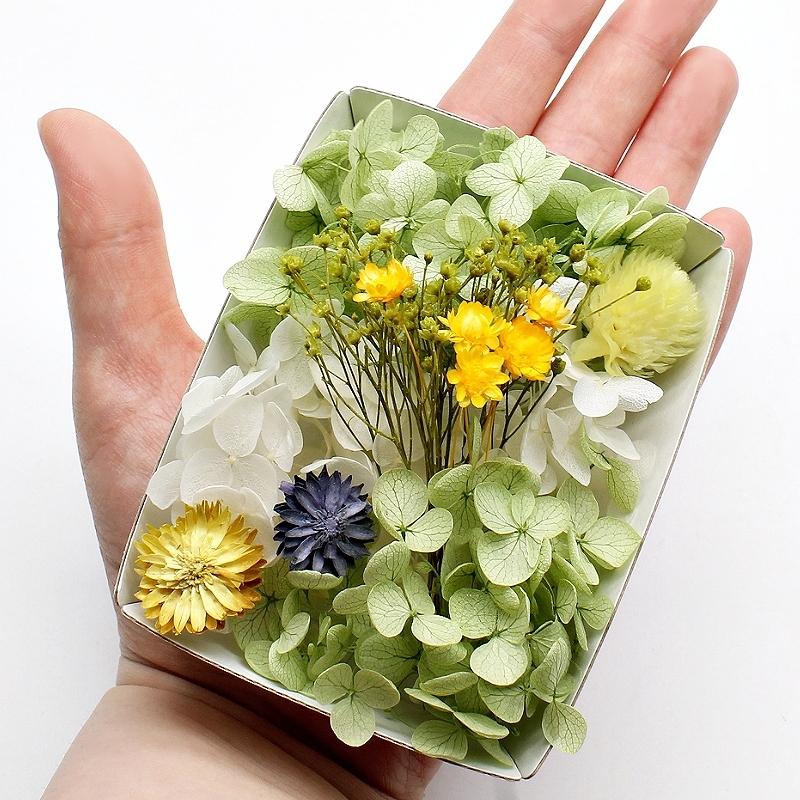 アップルグリーン花材セット 手芸クラフト ハーバリウム花材 アロマ