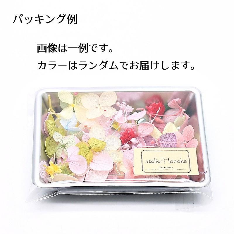 ハーバリウム 花材 ふんわり花びらふりかけ フラワーダスト 0.5g