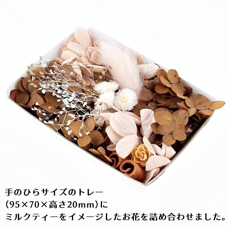 ハーバリウム花材 ミルクティーブラウン花材セット 1ケース