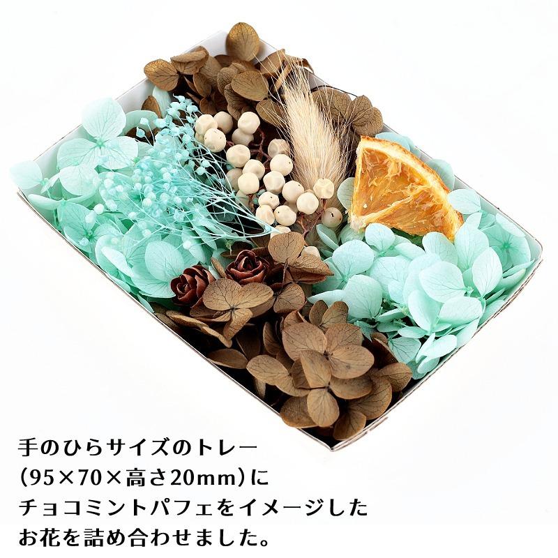 ハーバリウム花材 チョコミントパフェ花材セット 1ケース プリザーブド