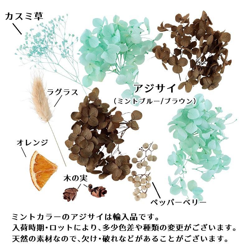 ハーバリウム花材 チョコミントパフェ花材セット 1ケース プリザーブド
