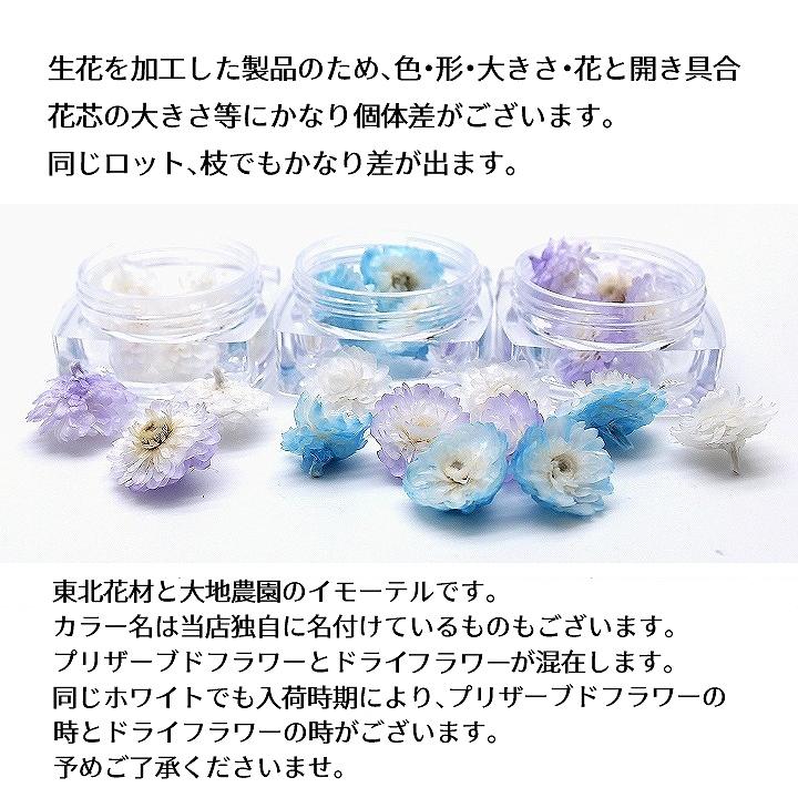 ハーバリウム花材 イモーテル 4輪 全11種 レジン封入 アロマワックスサシェ キャンドル プリザーブドフラワー ドライフラワー Ath 3003 あとりえほのか 通販 Yahoo ショッピング