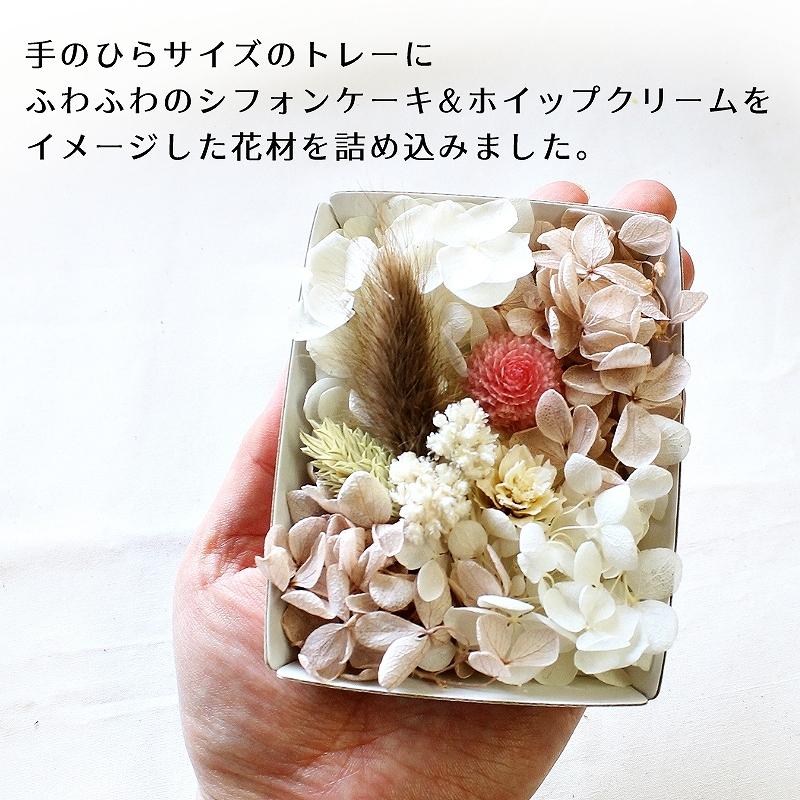 ハーバリウム花材 バニラシフォンホイップ花材セット 1ケース