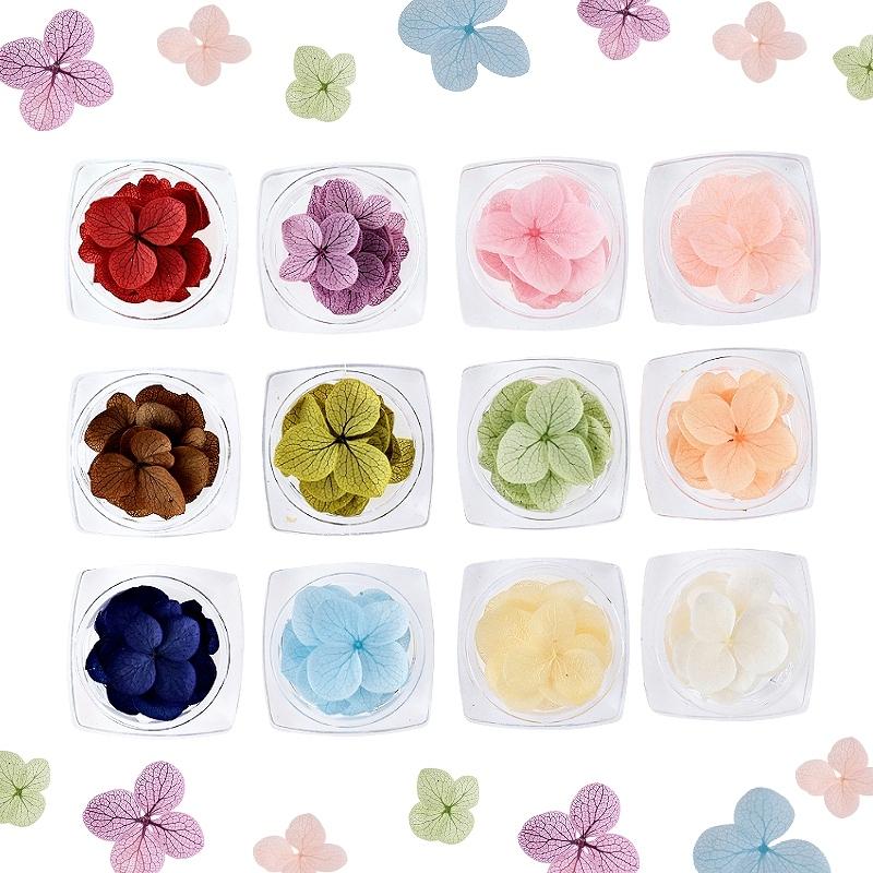 プリザーブドフラワー アジサイ アナベル ケース入り 10輪 全12種