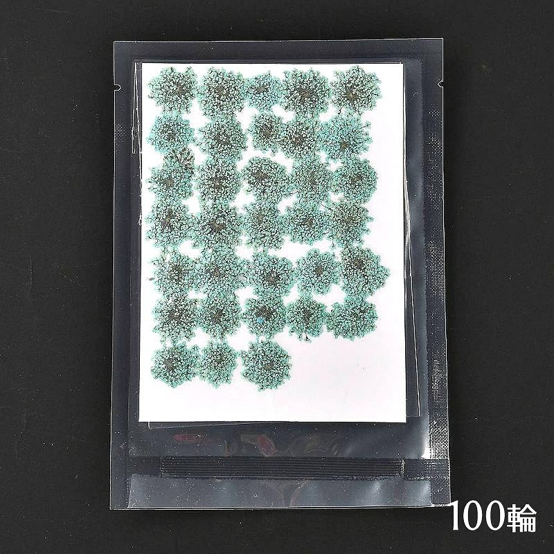 押し花 レジン用 ドライフラワー レースフラワー 1シート 約100輪 
