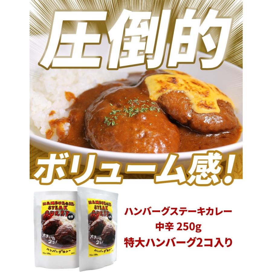 ハンバーグステーキカレー 2個セット 中辛 レトルトカレー 36