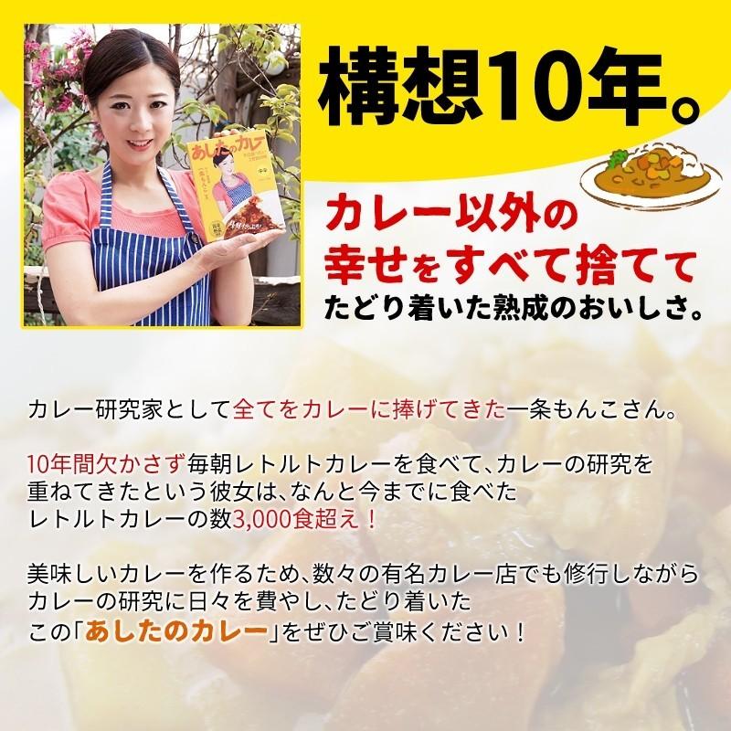 あしたのカレー 5箱セット 一条もんこ監修 レトルトカレー 辛さ自在5包
