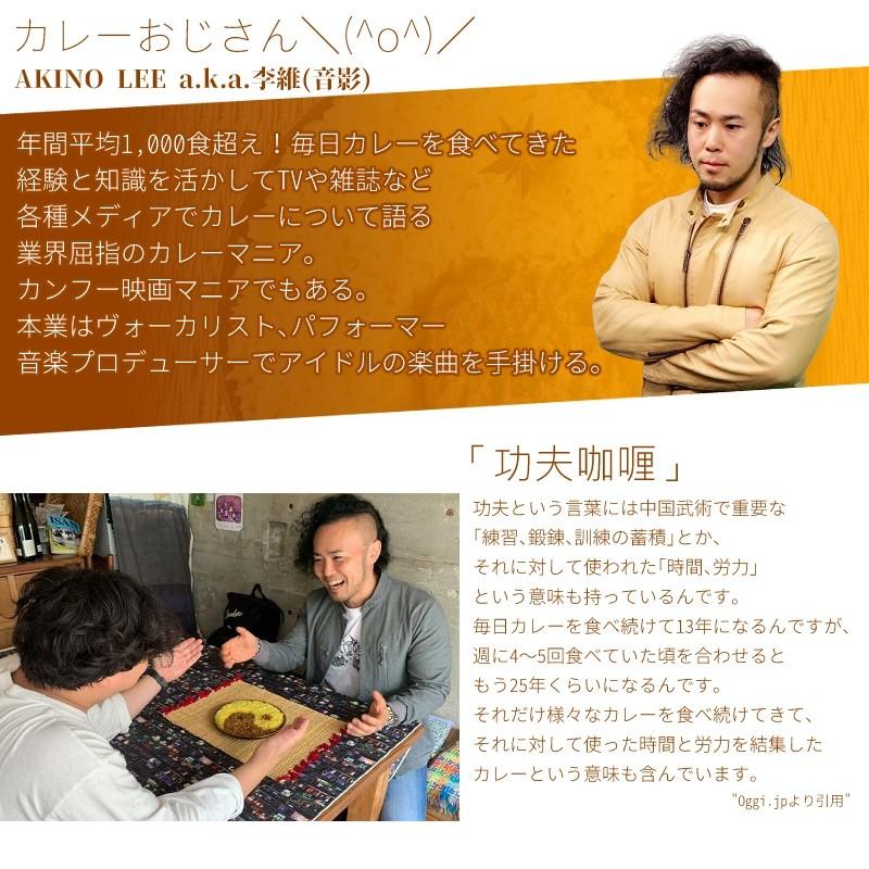 AKINO LEE監修 チャイニーズキーマカリー 功夫 5個セット カレー AKINO LEE監修 チャイニーズキーマカリー 功夫 5個セット カレー