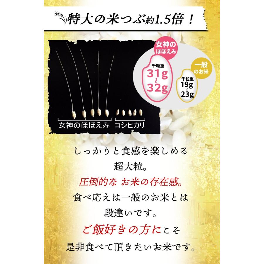 送料込み 女神のほほえみ 令和5年産 新米 9分づき精米 5kg【宅配便専用