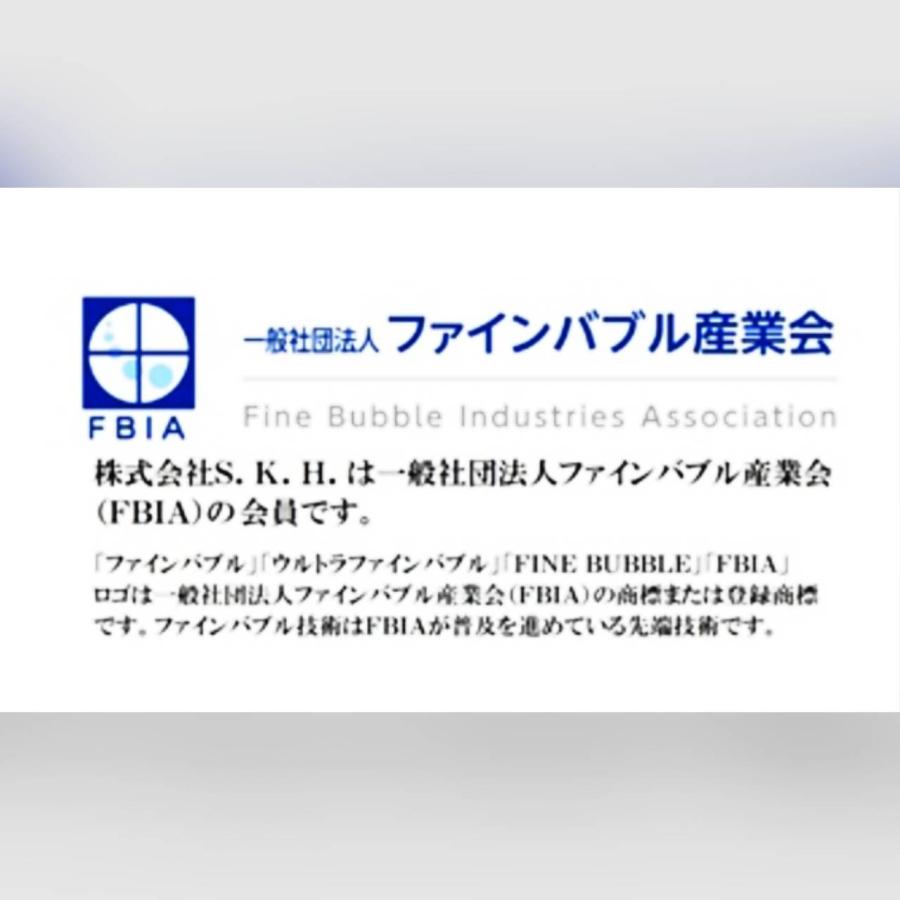 【アクアビュル】塩素除去 アクアビュルシャワーC ウルトラファインバブルシャワーヘッド  本体＋塩素除去カートリッジ コンパクト 旅するシャワーヘッドの画像
