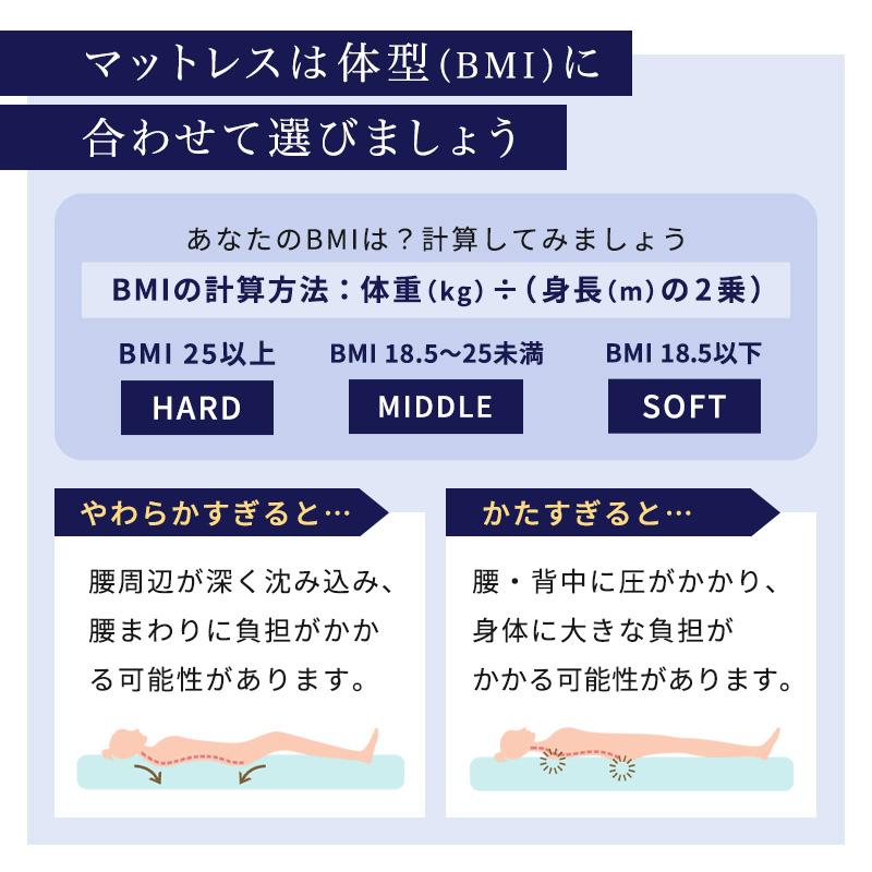 【公式店】折りたたみベッド 電動ベッド くつろぐベッド収納式 硬さ選べるマットセット AX-BE726 シングル かため ふつう やわらかめ 2モーター | アテックスベッド | 11