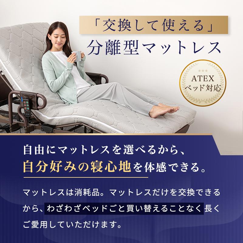 マットレス teikaku ダイレクト限定】マットレス（硬さ選べるマットレス） AX-BM741