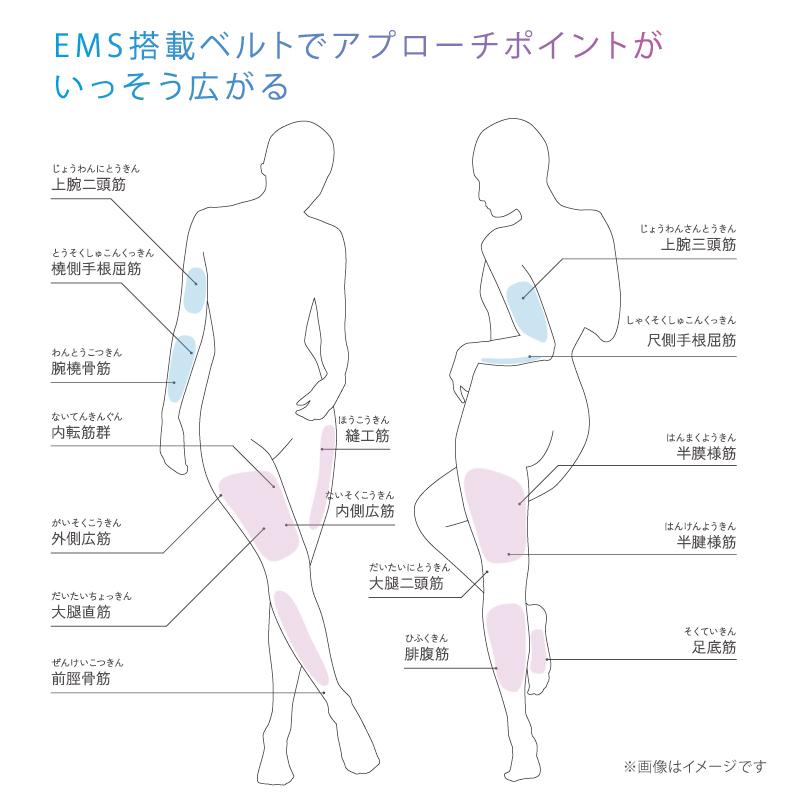 ルルド EMS パッド EMSシート2 AX-FRL909 アテックス ダイエット 脚 腕