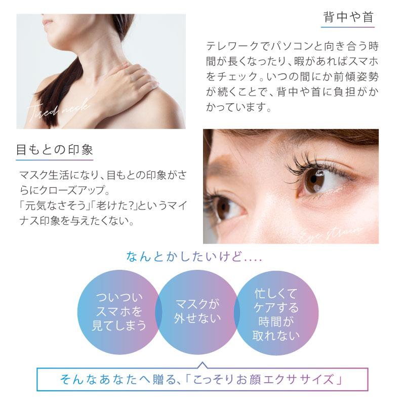 ルルド 値下げしました！ EMS マスク AX-FRL912 顔 フェイスケア 美顔