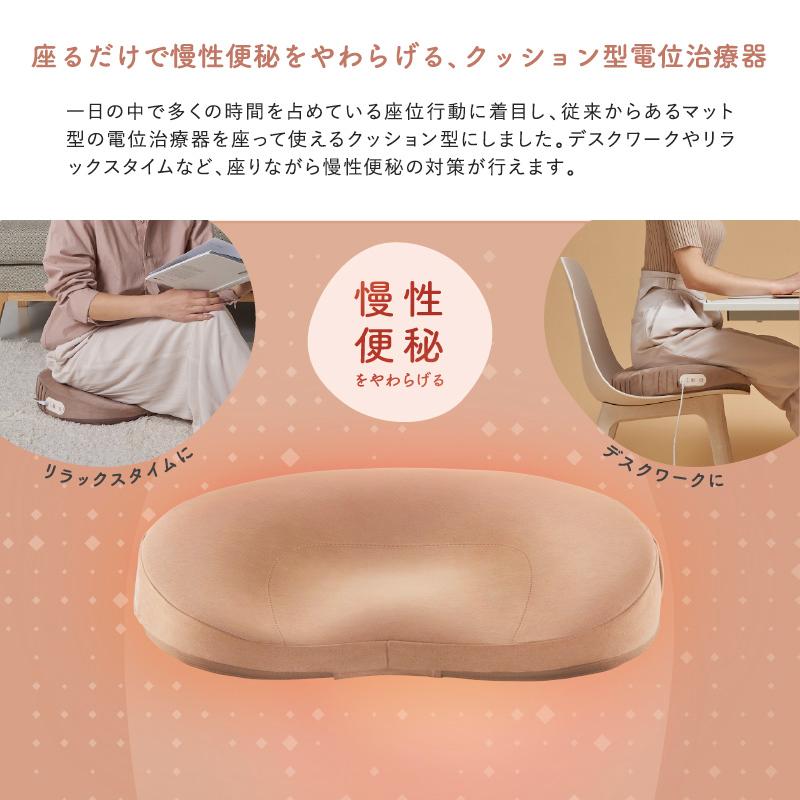 ルルド 【公式店】ヒートクッション フェムオンテック 暖