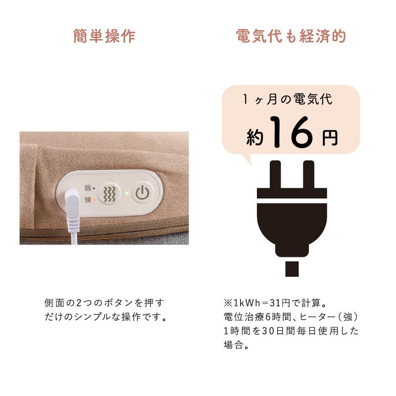 ルルド 家庭用 電位治療器 フェムオンテック 暖 クッション AX-HK114