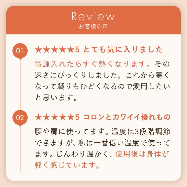 粘着シール60枚付きセット【公式店P5倍】 アテックス ルルド フェムオンテック 温灸 AX-HPL151S お灸 温活 火を使わない プレゼント ルルド クリスマス | ルルド | 05