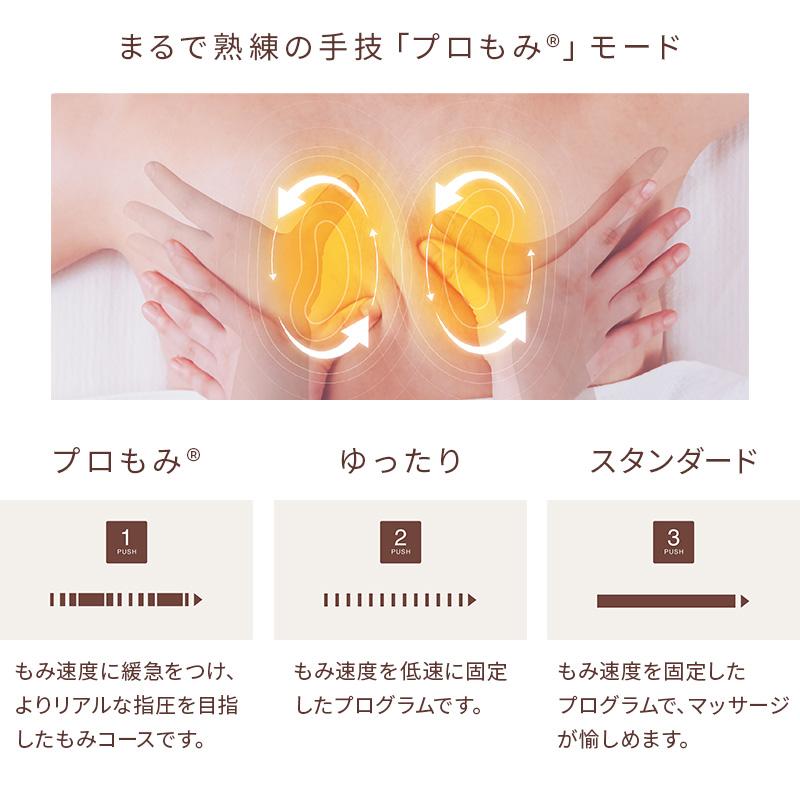 ルルド 【公式店P10倍】マッサージシート 全身 プレミアム ルルド 【公式店P10倍】マッサージシート 全身 プレミアム