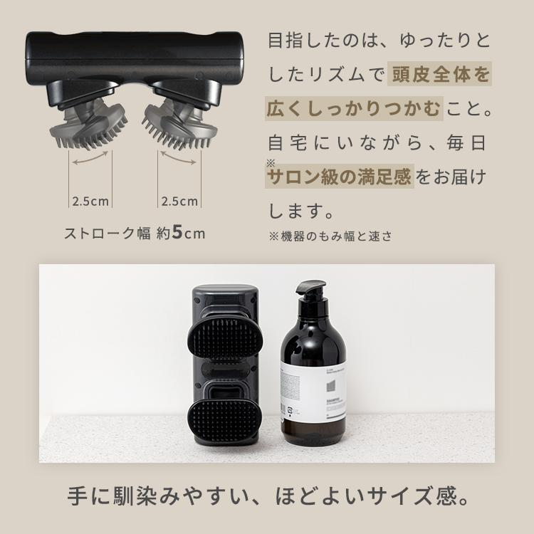 ルルド 【公式店P10倍】ルルド ヘッドケア AX-HXL352 ATEX 頭