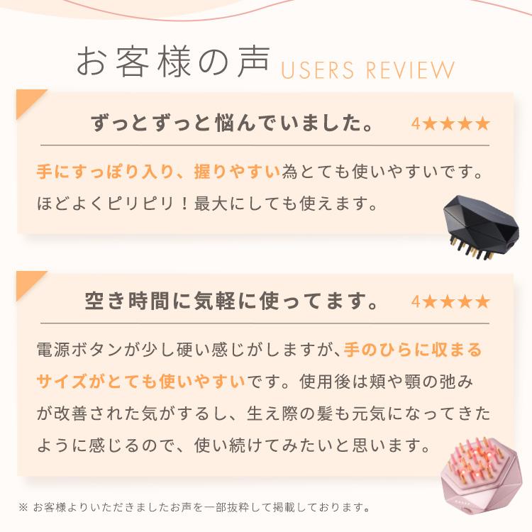 ルルド 【公式店P10倍】アテックスルルド EMSリフトブラシ AX