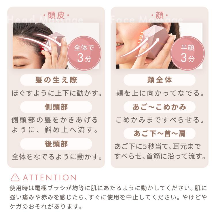 ポイント10倍 アテックス公式】ルルドボーテ EMSリフトブラシ AX