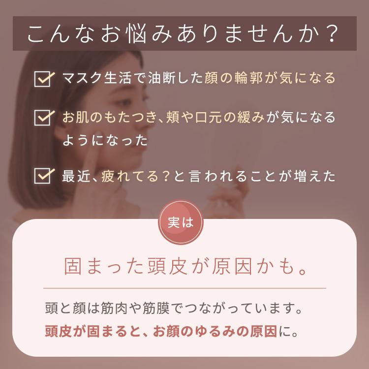ルルド 【公式店P10倍】アテックスルルド EMSリフトブラシ AX-NBL506