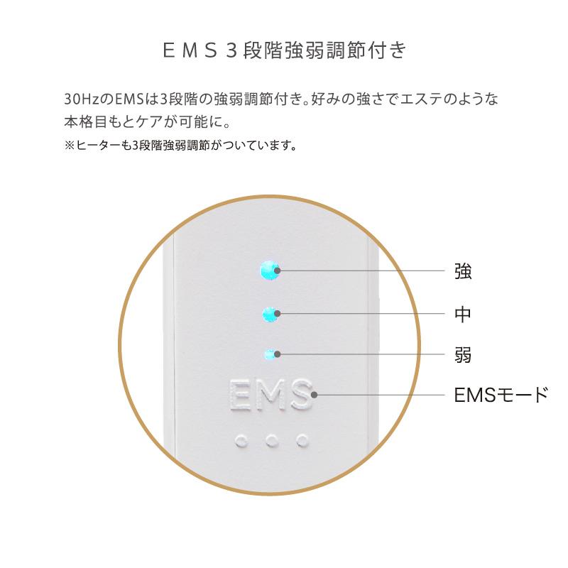 ルルド 【公式店P10倍】ルルドボーテ めめホット＆EMS AX-NBL508
