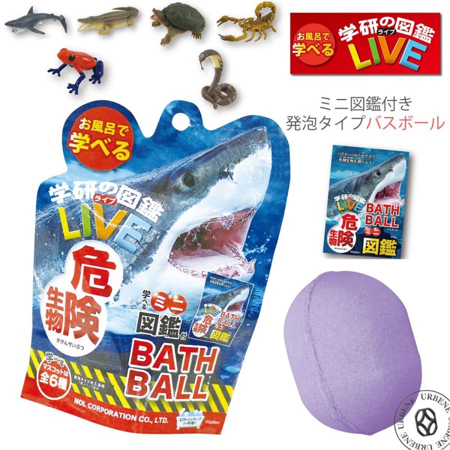 最大88%OFFクーポン 学研の図鑑ライブ 危険生物バスボール 発泡タイプの入浴料 スプラッシュグレープソーダの香り 1個入 arkhitek.co.jp 最大88%OFFクーポン 学研の図鑑ライブ 危険生物バスボール 発泡タイプの入浴料 スプラッシュグレープソーダの香り 1個入 arkhitek.co.jp