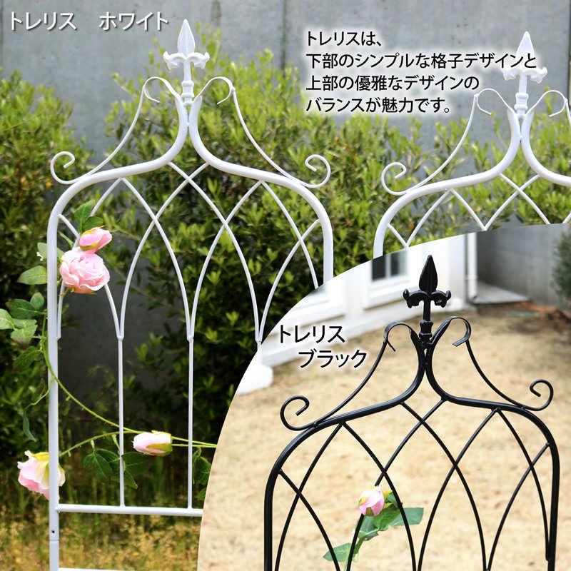 エレガント ラウンドトップ フェンス（トレリス・ロー）2枚セット