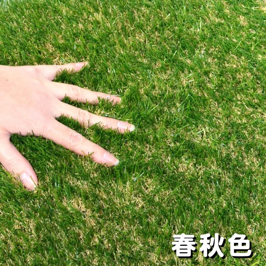 人工芝 ロール 2m 色までリアルな人工芝 芝丈30mm /1m × : ガーデン