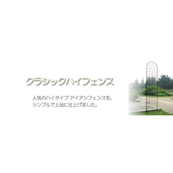 半額品 トレリス フェンス アイアン ガーデン 花壇 アイアンフェンス クラシックハイフェンス Sサイズ 150cm 4枚 配送員設置送料無料 Blog Lonolife Com