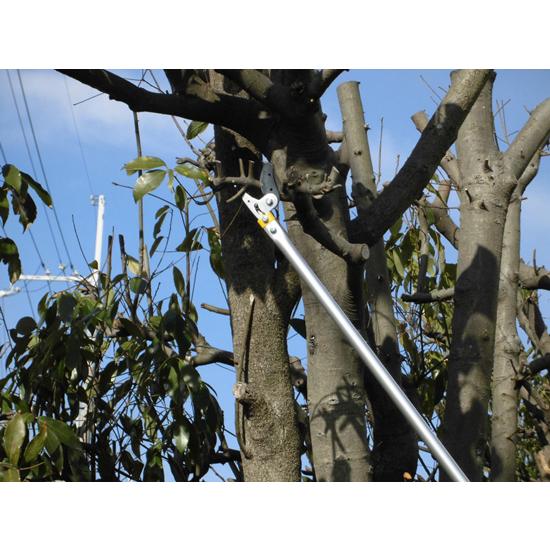 高枝切りバサミ 日本製 [2M充電式コードレス高枝切りバサミ]／同梱不可・代引き不可_3