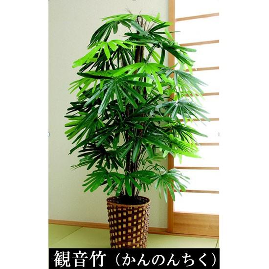 期間限定特価 インテリアグリーン フェイクグリーン 人工観葉植物 観葉植物 ベンジャミン 観音竹 同梱 き 現金特価 Www Aproniaperu Com