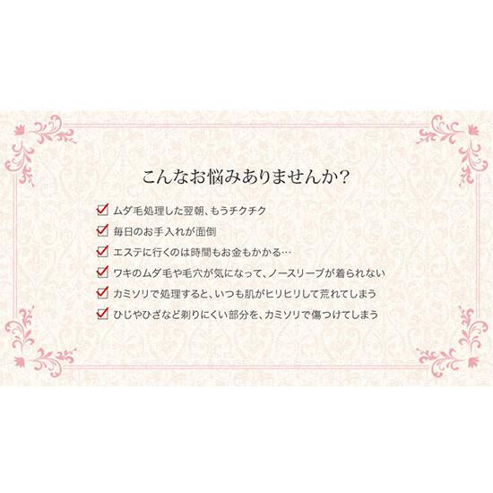 【在庫有】【処分セール】オムニ エクセレントデピ ビューティーRFの画像