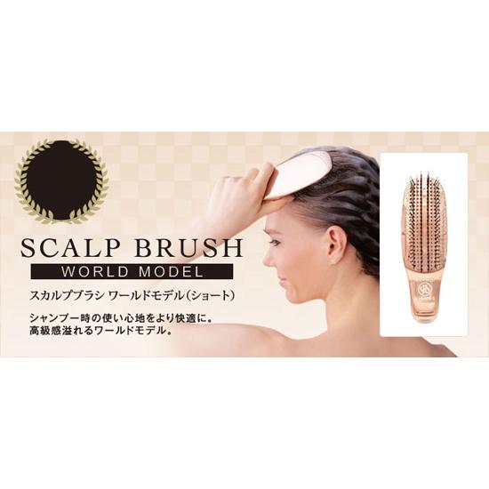 在庫有】[スカルプブラシ ワールドモデル ショート] エスハートエス