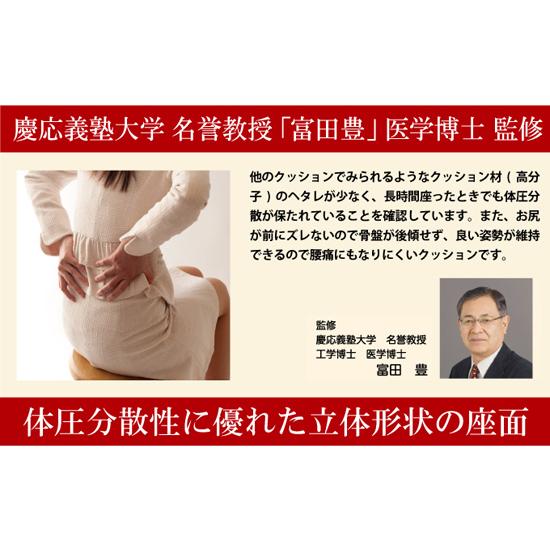 スポッとクッション K-SPZ ［オフィス用クッション ザブトン 椅子用 骨盤座布団 長時間 疲れない］／同梱不可・代引き不可の画像