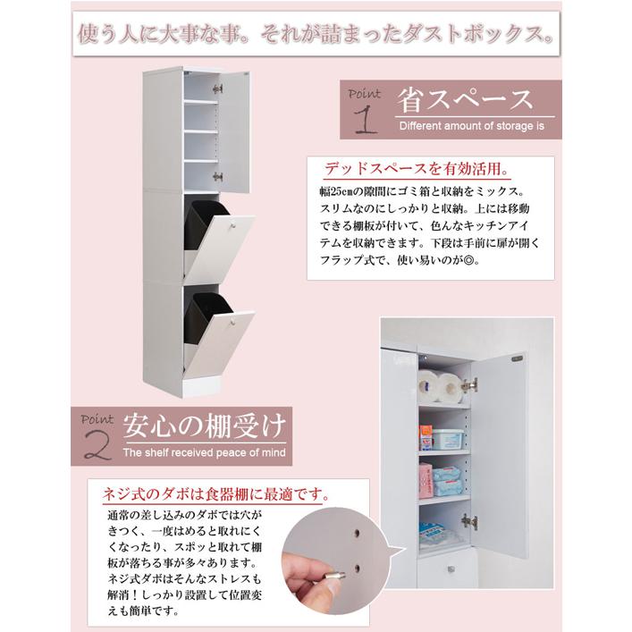 キッチンシリーズ スリム 2分別 幅25［スリムダストボックス キッチンゴミ箱 すきま収納］／同梱不可・代引き不可／日時指定不可_2