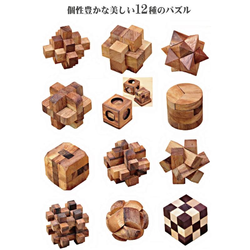 【在庫有】ROCKS MOTION ロックスモーション ウッドパズル12個セット 木製ケース入りの画像