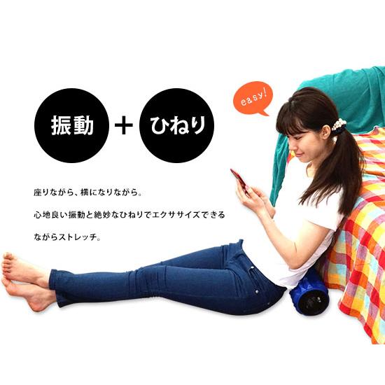 LIFEFIT ライフフィット ツイストロール Fit009の画像