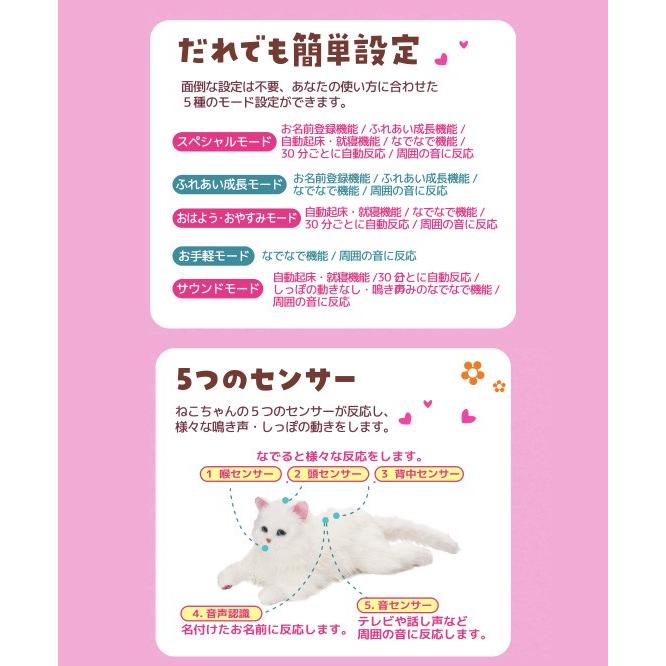 在庫有 猫のおもちゃ 電子ペット しっぽふりふり あまえんぼうねこちゃん ペットロボット ロボットペット B0101bytb 2 アテーネyahoo 店 通販 Yahoo ショッピング