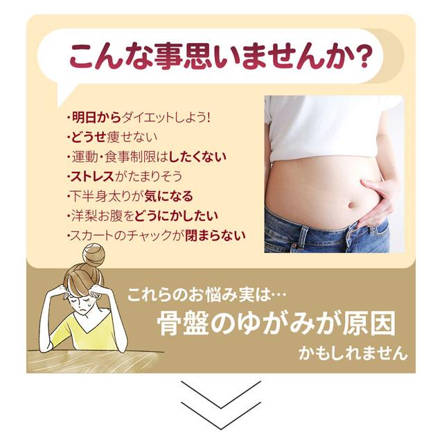 芦屋美整体 骨盤スリム3Dエアー ［納富亜矢子監修サロン施術の再現を目指した骨盤チェア］の画像