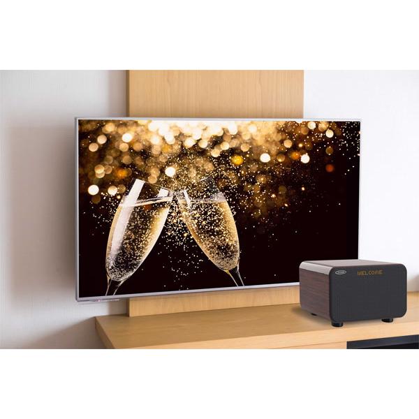 在庫有】アンプ内蔵カラオケスピーカー サウンドプロMAX ［ワイヤレス