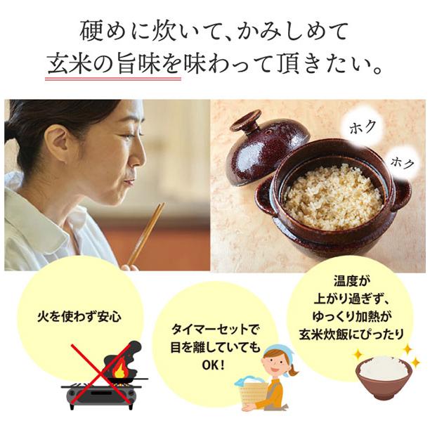 【K+dep】ＷＡ−９５１　レンジで玄米炊飯セット [玄米も白米もレンジで炊飯 玄米炊飯釜 電子レンジ対応]_2