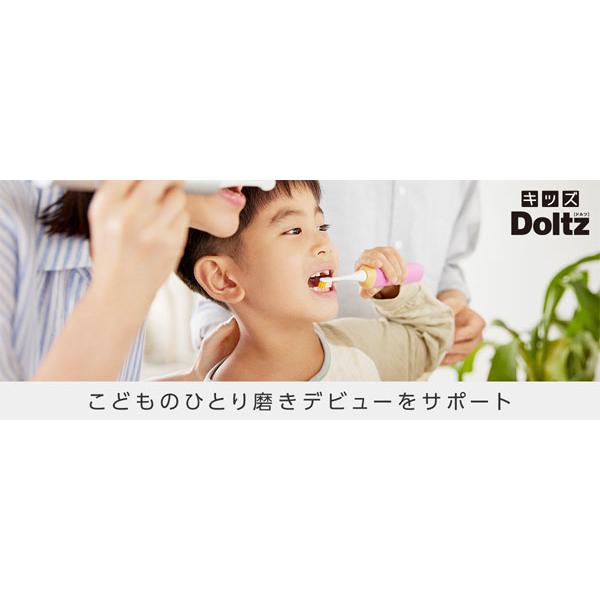 Panasonic（パナソニック） 音波振動歯ブラシ ドルツ EW-DK31 電動